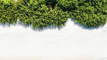 Vista aérea de una playa con aguas turquesas cristalinas y abundante vegetación verde.