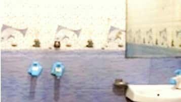 Een douche, gratis toiletartikelen, pantoffels, handdoeken