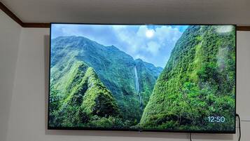 Apartment | Television