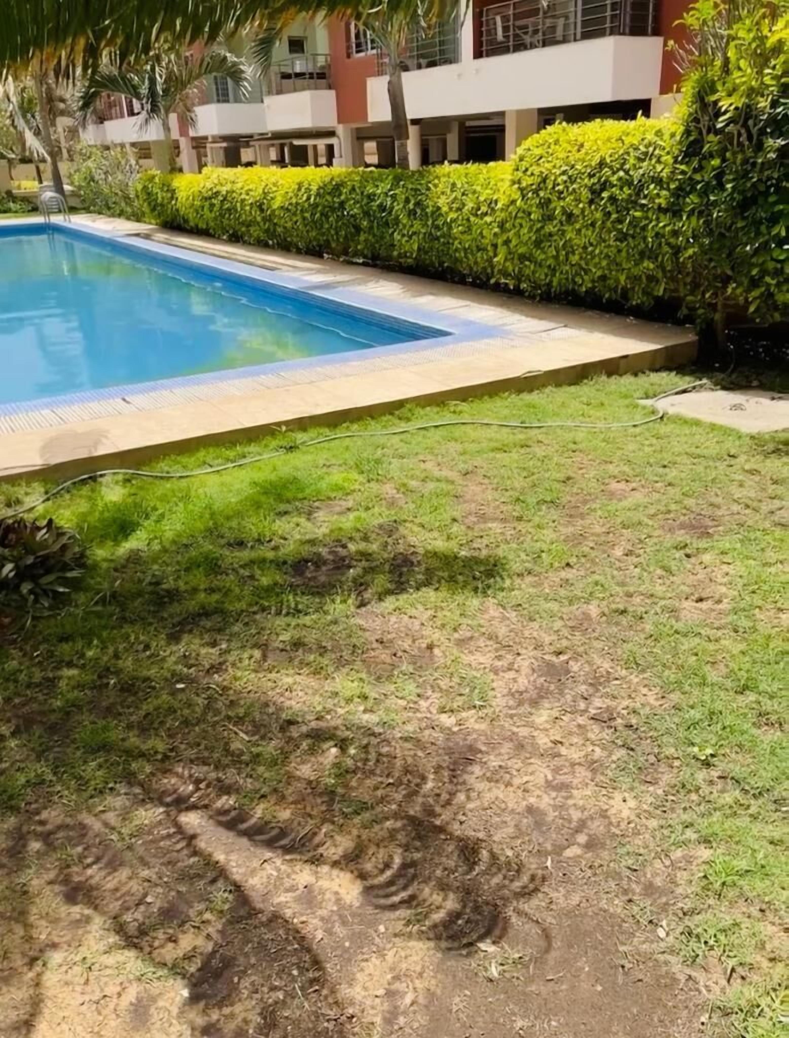 Una piscina rodeada de césped y setos cuidados, con un edificio al fondo.