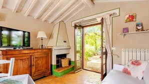 A cozy room with a television, a fireplace, a bed with floral pillows, and a view of the garden. - La Cervaiola  (Porano)
