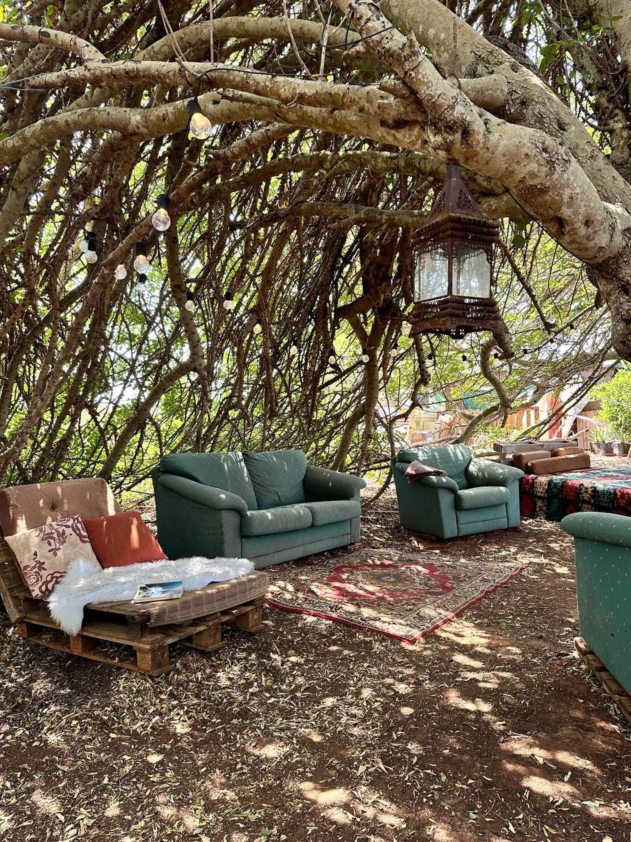 Terrein van de accommodatie