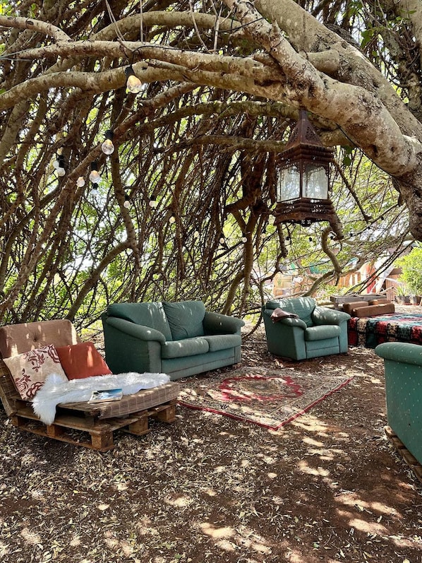 Property grounds - Michas caravan for 2 See the herd of horses from your bed (Barão de São João)