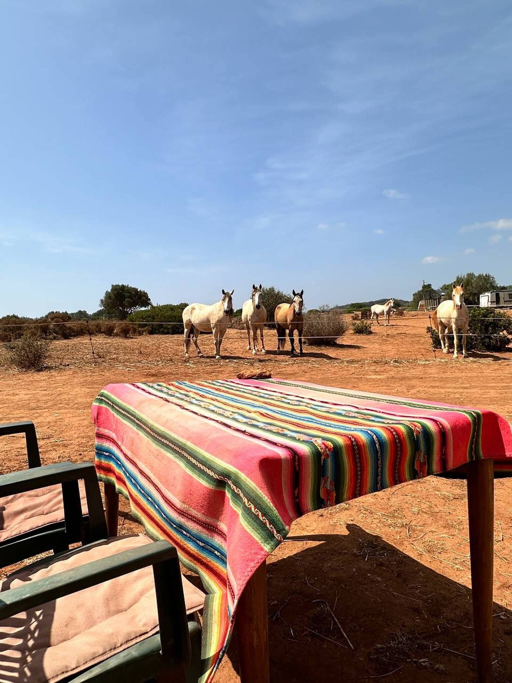 Enceinte de l’hébergement