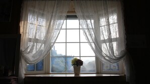 Una ventana con cortinas traslúcidas, una planta en maceta y vistas a árboles y montañas.