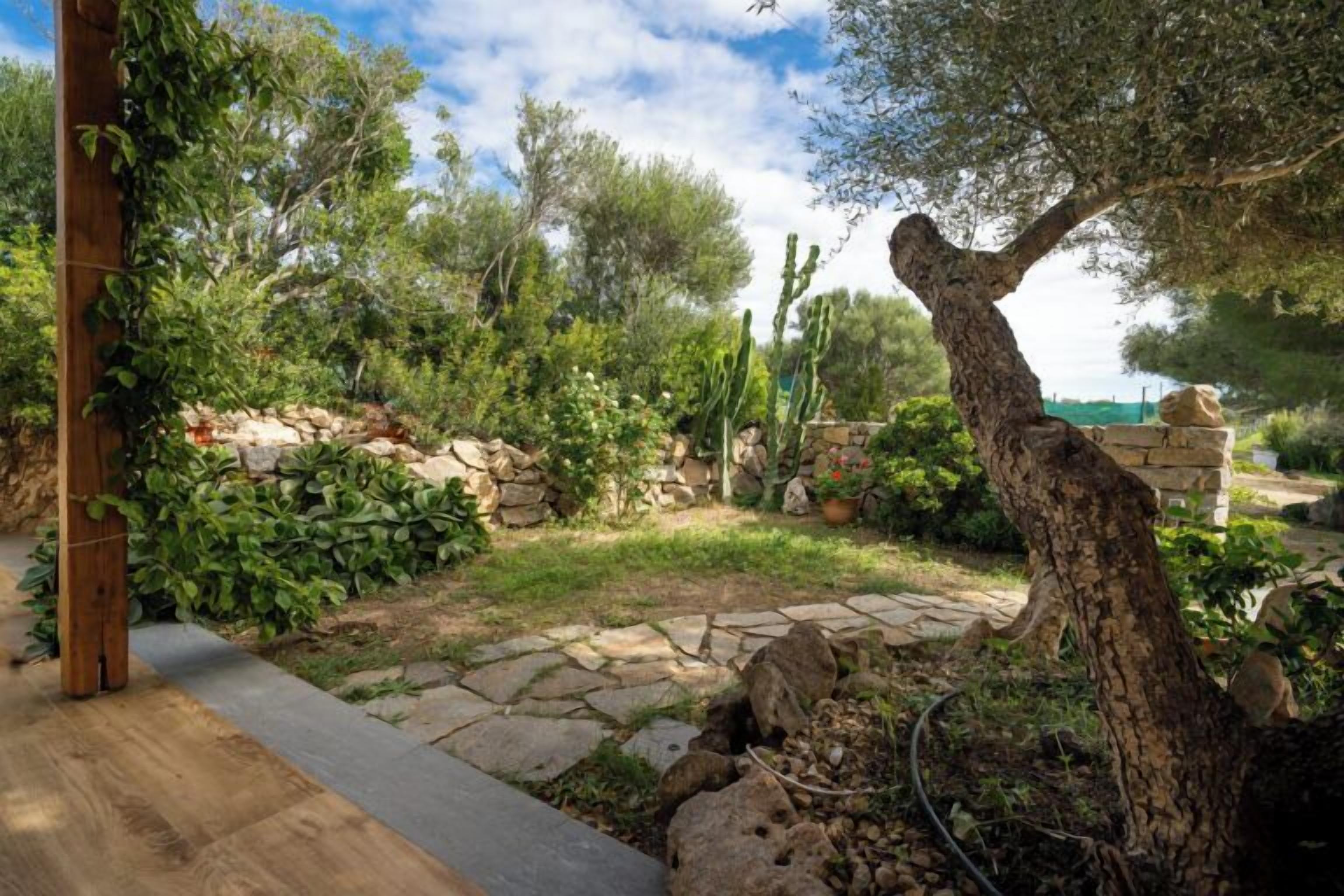 Camera della Vigna | Teras/patio