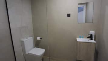 Habitación doble, baño privado | Miscelánea
