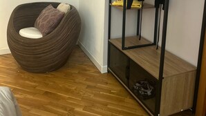 A room with a wooden floor, a brown upholstered chair with a cushion, and a black hanging wardrobe with shelves.