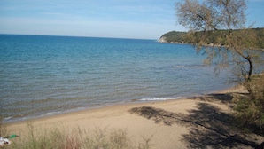 A beach with clear water, sandy shore, and sparse vegetation.
