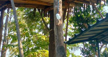 Escape. Unwind. Rejuvenate.
Welcome to your perfect getaway.