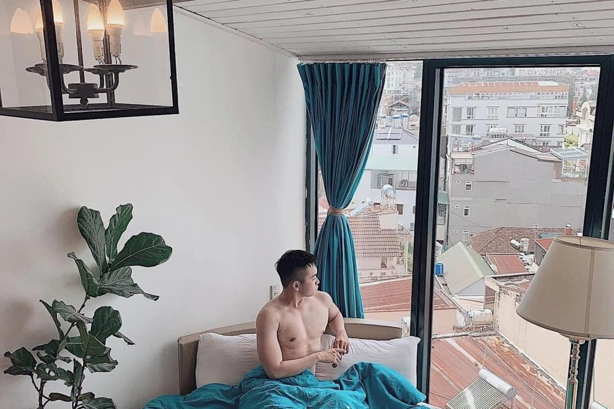 A room with a bed, a potted plant, a window with curtains, and a view of buildings outside.