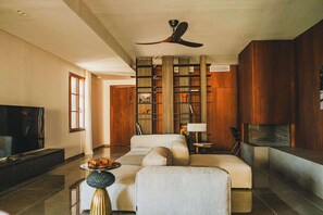 TV, fireplace, DVD player