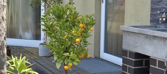 Ferienhaus Móst in Heinersbrück – Ruhige Auszeit nahe Cottbus & dem Spreewald