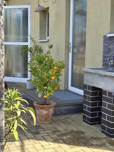 Ferienhaus Móst in Heinersbrück – Ruhige Auszeit nahe Cottbus & dem Spreewald