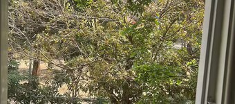 Akshaya - Charming 2BHK apartment with scenic view