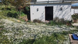 Esterni