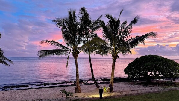 A beach scene with palm trees and a sunset. - Mokusiga Villas Tolu - Private Beachfront Villa (Korolevu)