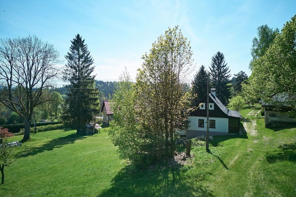 Baum, Blatt, Strauch, Haus, Hütte, Grundstueck, Rasen, Zuhause, Ländliches Gebiet, Garten