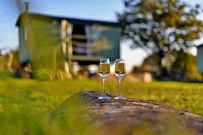 Exterior - Tranquil Shepherds Hut With Stunning Views, No Deposit (Pwllheli)