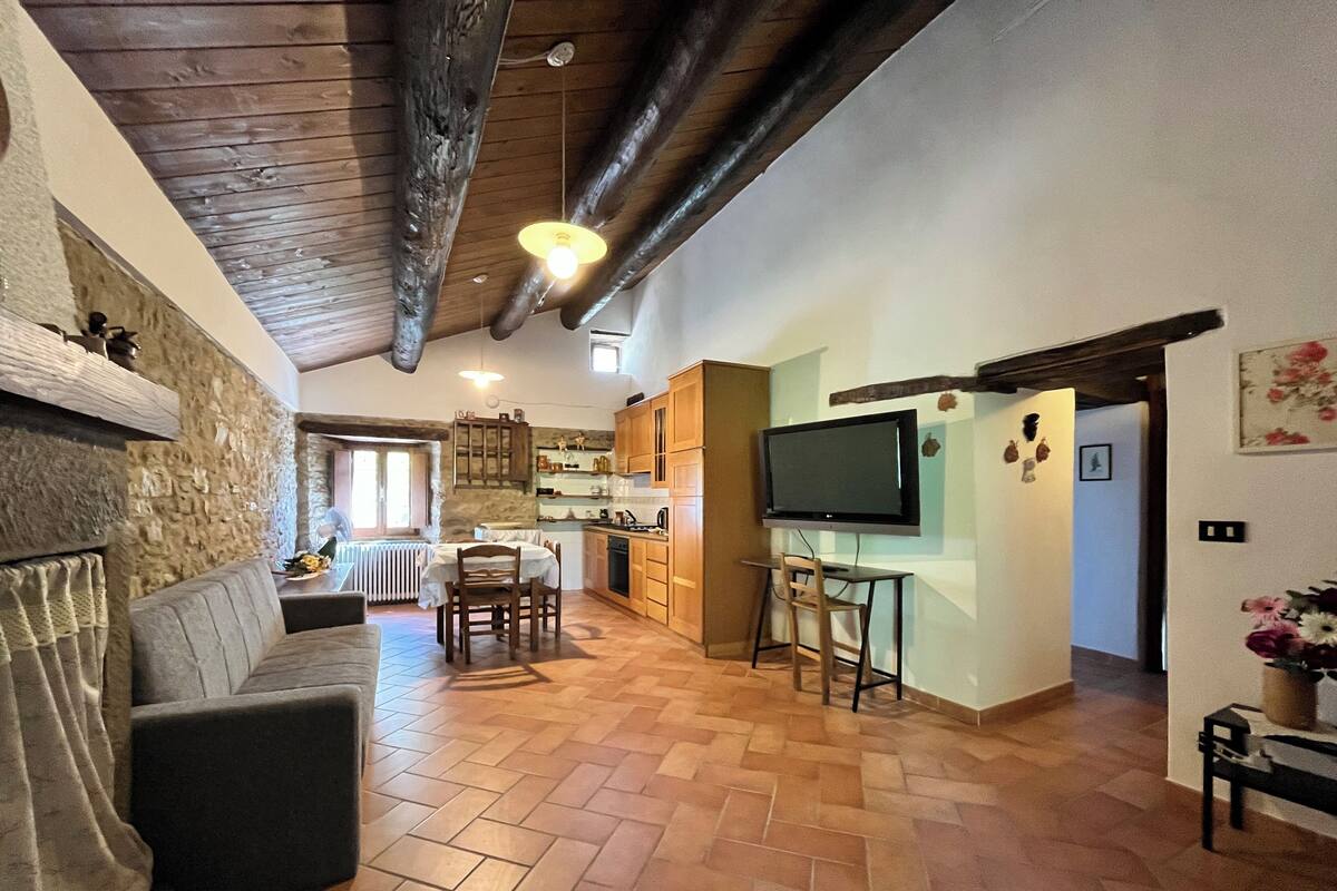 A spacious living area with a fireplace, a sofa, a dining table, and a kitchen area with a TV.
