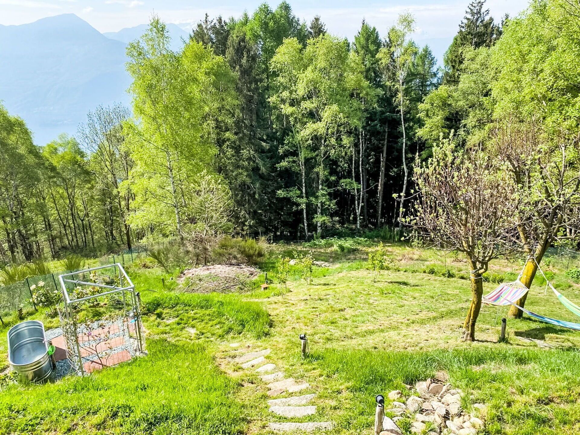A lush green landscape with a clear path, a hammock, and a metal structure.