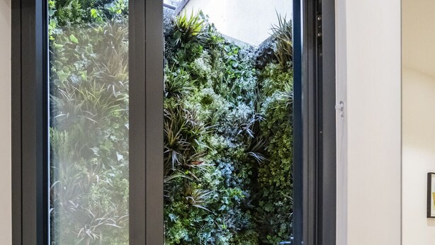 A sliding glass door leading to a garden with various plants and a wooden deck.