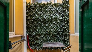 Un espacio exterior estrecho con una mesa y sillas de metal, una manguera roja y una pared cubierta de follaje verde.