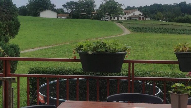 En udendørs terrasse med et træbord og stole, krukker med planter og udsigt over et grønt område samt bygninger i det fjerne.