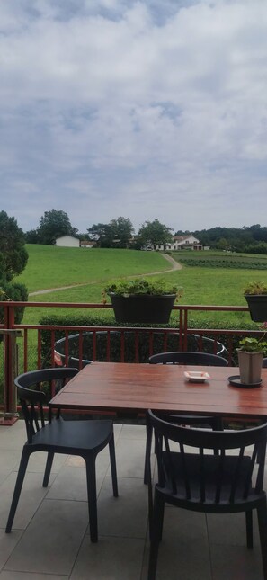 Un patio al aire libre con una mesa y sillas de madera, plantas en macetas y vistas a un campo verde y edificios a lo lejos.