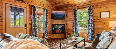 Smart TV, fireplace, video games, books