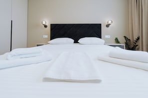 2 slaapkamers, een strijkplank/strijkijzer, reisbedje, gratis wifi