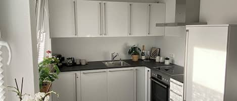 Oven, stovetop, dishwasher