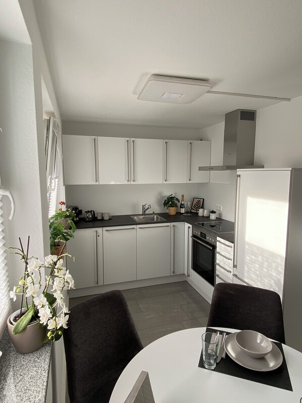 Oven, stovetop, dishwasher
