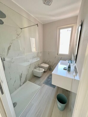 Shower, hair dryer, bidet, towels
