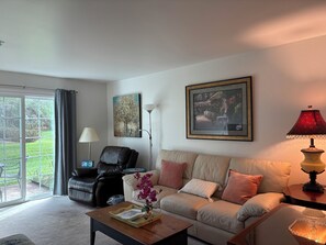 Smart TV, DVD player, books