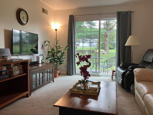 Smart TV, DVD player, books, music library