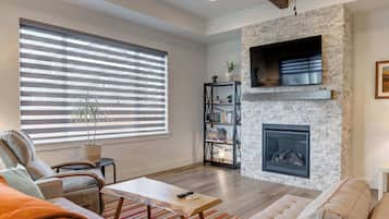 TV, fireplace, offices