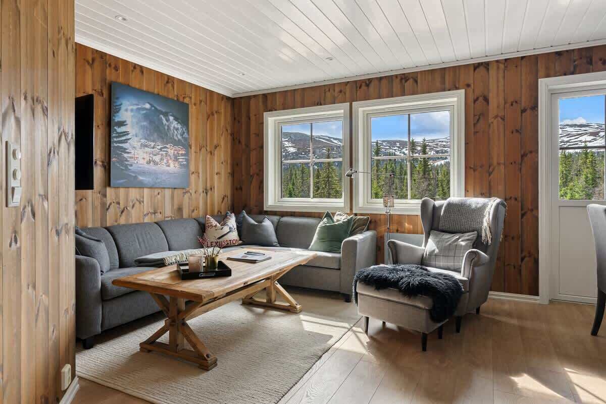 TV, caminetto, studio