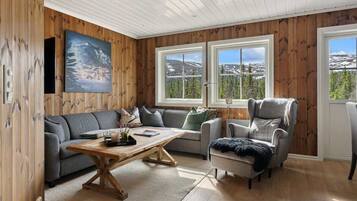 TV, fireplace, offices