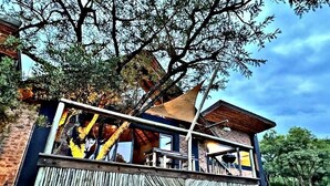 Ein modernes Gebäude mit Balkon, ein großer Baum davor und ein klarer Himmel.