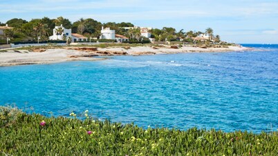 Private Oasis With Jacuzzi, Barbecue and Parking