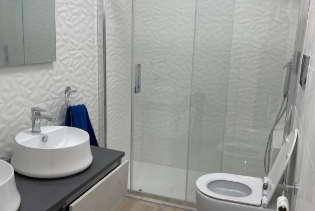 Shower, hair dryer, bidet, towels