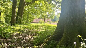 Une zone boisée avec de grands arbres, un champ herbeux et un bâtiment situé au loin.