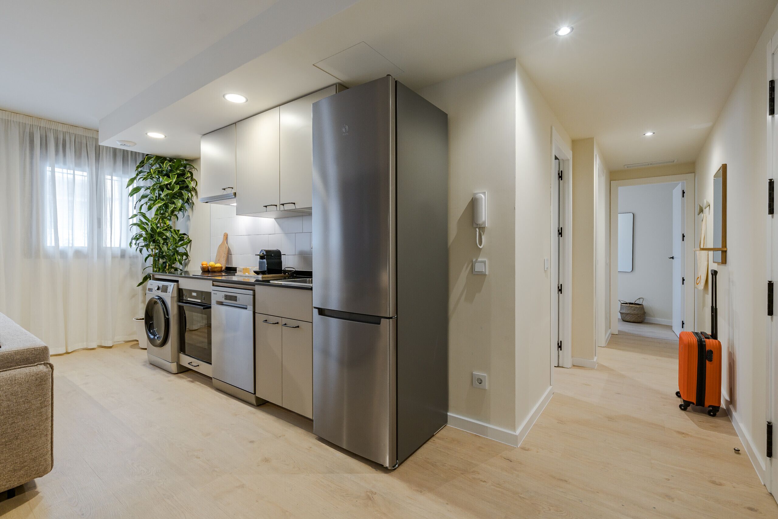 A modern kitchen with stainless steel appliances, a washing machine, and a large plant.