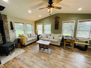 TV, fireplace, books