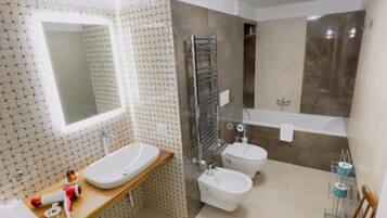 Shower, hair dryer, bidet, towels