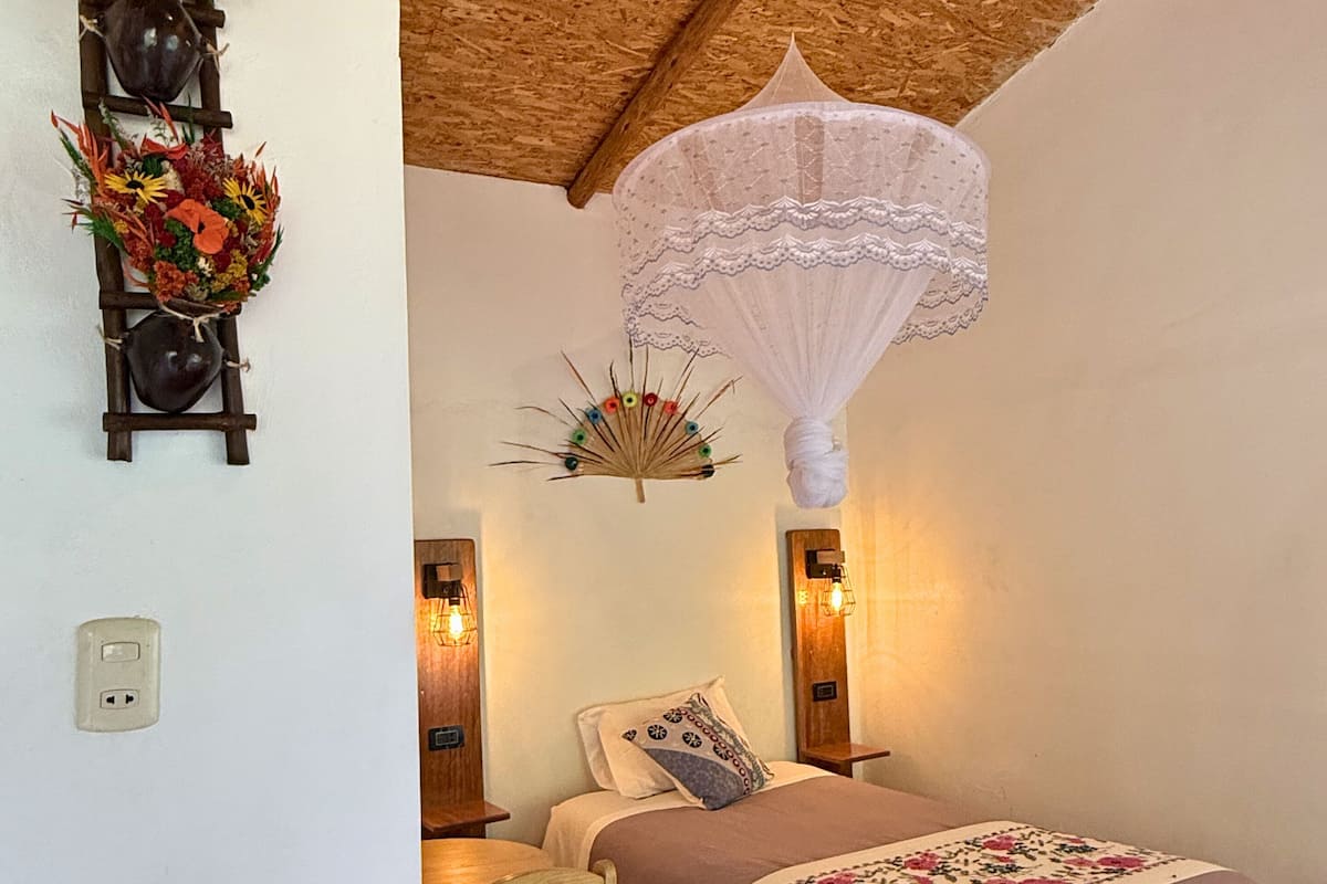 Habitación individual clásica, vista al jardín | Wifi gratis