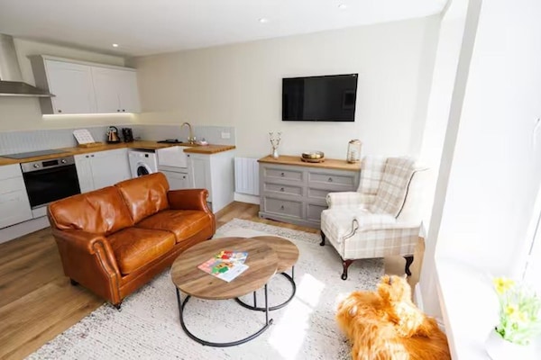 Apartment | Living area | TV