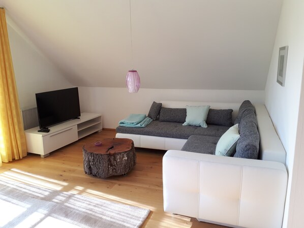 智能电视、壁炉、书