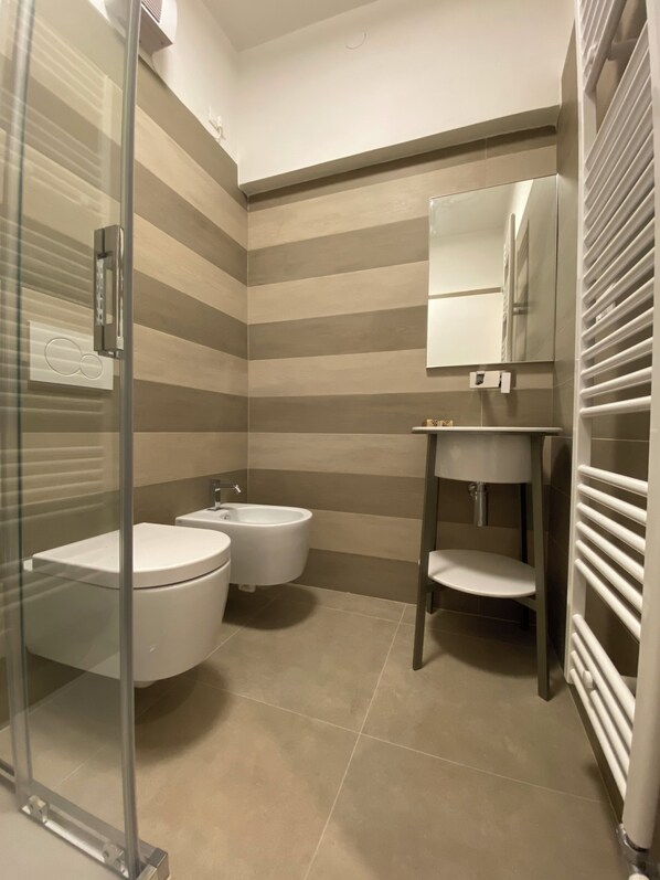 Regadera, secadora de cabello, bidet, toallas